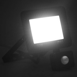 Reflektor LED z czujnikiem, 30 W, zimne białe światło