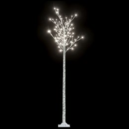 Wierzba z oświetleniem, 200 zimnych białych LED, 2,2 m