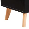 Szafka pod TV, czarna, 120 x 40 x 46 cm, MDF