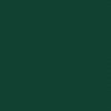 Szopa z wiatą, zielona, 277x110,5x181 cm, stal
