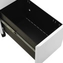Mobilna szafka kartotekowa, jasnoszara, 30x45x59 cm, stalowa