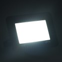 Reflektor LED, 30 W, zimne białe światło