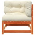 2-osobowa sofa ogrodowa z poduszkami, woskowy brąz