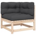 2-osobowa sofa ogrodowa z poduszkami, lite drewno sosnowe
